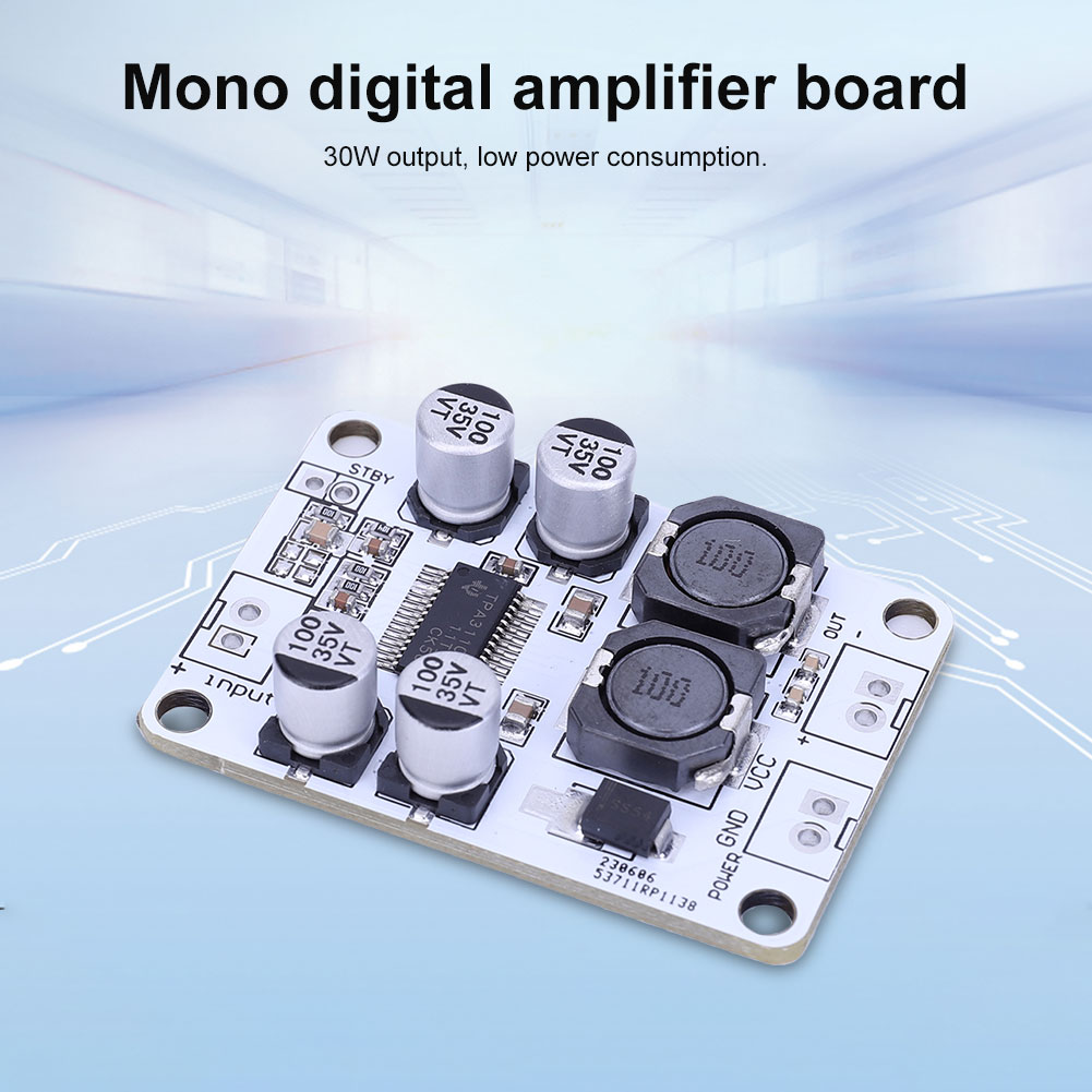 Carte d'amplificateur monocana - Best Diy Electronics Kits avis et prix