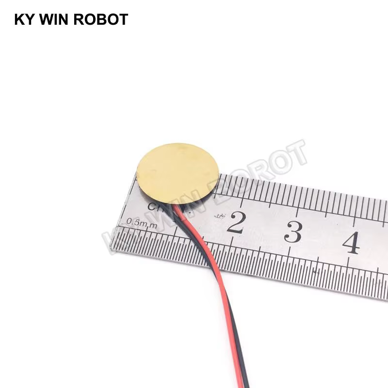 Plaque en céramique piézoélect - R/Diy Electronics avis et prix