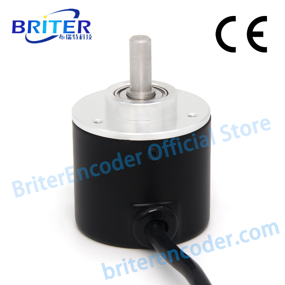 SSI CAN – codeur de valeur abs - R/Diy Electronics avis et prix